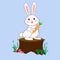 Bunny Rabbit Standing on Wood