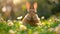 Bunny roams freely in a field adorned with Easter delights.