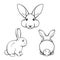 Bunny set. Rabbits, hares. Muzzle bunnies. Banny s back. Vector illustration.