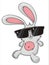 Bunny with shades