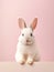 Bunny studio photo captures the innocent beauty of a cute, fluffy rabbit.