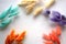 Bunny tail (Lagurus ovatus) multicolored soft fluffy bunches on white background. Empty space for text