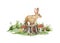 Bunny on the tree stump. Hand drawn illustration. Cute bunny sitting on the tree stump, in green grass, forest mushrooms