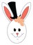 Bunny wearing cylinder hat vector illustarion