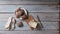 Buns of flour with bran with butter on a wooden table, top view