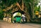 Bunut Bolong: Ficus Tree Tunnel At West Off-Beaten Track