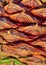 A Bunya Pine Cone up close.