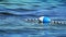 Buoy with attached rope floating on water surface of calm blue lake