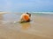 Buoy on the Beach