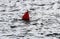 A buoy floating in the sea waters