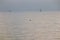 buoy in middle of ocean on misty day with distant boats on horizon