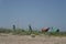 Buoy, navigational floating sign on the shore by the sea