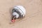 Buoy part of fishing gear thrown on the sandy shore of the ocean old foamy round weathered design