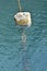 Buoy of plastic barrel floating on water