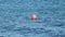 A buoy on waves