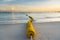 Buoyancy on the beach, sign warning dangerous