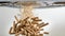 Buoyancy Denied: Wood Pellets Grounded