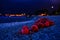 Buoys on a beach at night