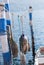 Buoys hanging on ropes on white and blue wooden poles in typical