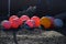 Buoys in many colors with ropes around