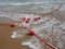 Buoys on a rope in sea water. The lifebuoys are pink restraints to alert people to the depth of the water. Rescue of the