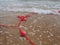 Buoys on a rope in sea water. The lifebuoys are pink restraints to alert people to the depth of the water. Rescue of the
