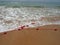 Buoys on a rope in sea water. The lifebuoys are pink restraints to alert people to the depth of the water. Rescue of the