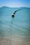 Buoys strung together on beautiful blue sparkling waters and clear sea