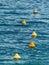 Buoys to guide