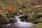 Burbage Brook flowing through Padley Gorge in Peak District