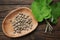 Burdock leaves and pills with extract of arctium lappa. Top view