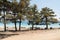 Burdur/Turkey - July 19 2020: People having picnic under trees at salda lake shore