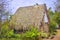 Bure with thatched roof