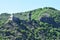 Burg Bischofstein with small trees growing on the stones around