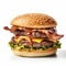 Burger With Bacon: A Stunning Liquid Emulsion Print By National Geographic