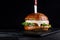 A burger on the black background with an angle view.