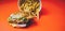 Burger and French Fries Isolated on a orange background. Greasy burger and french fries from a fast food restaurant isolated on a