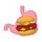 Burger in Stomach. Belly and hamburger. heaviness in abdomen.