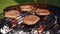 Burgers on barbecue grill