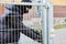 Burglar opens door lock of a gate