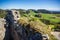 Burgruine Prandegg. Austria.