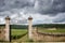 Burgundy, Chateau du Clos de Vougeot and vineyards. France