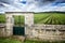 Burgundy, Cote d`Or. Vineyard with fence stone wall and access gate.