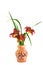 burgundy daylily flowers in a clay vase