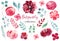 Burgundy flowers hand drawn watercolor raster illustrations set