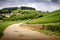 Burgundy. Road in the vineyards leading to the village of Pernand-Vergelesses in CÃ´te de Beaune. France