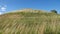 Burial Mound of Gamla Uppsala in Sweden