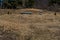 Burial mound next to spirit house