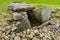 Burial mounds Kilmartin Glen, Scotland