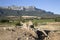 Burial Stonea and Countryside, Laguardia, Alava